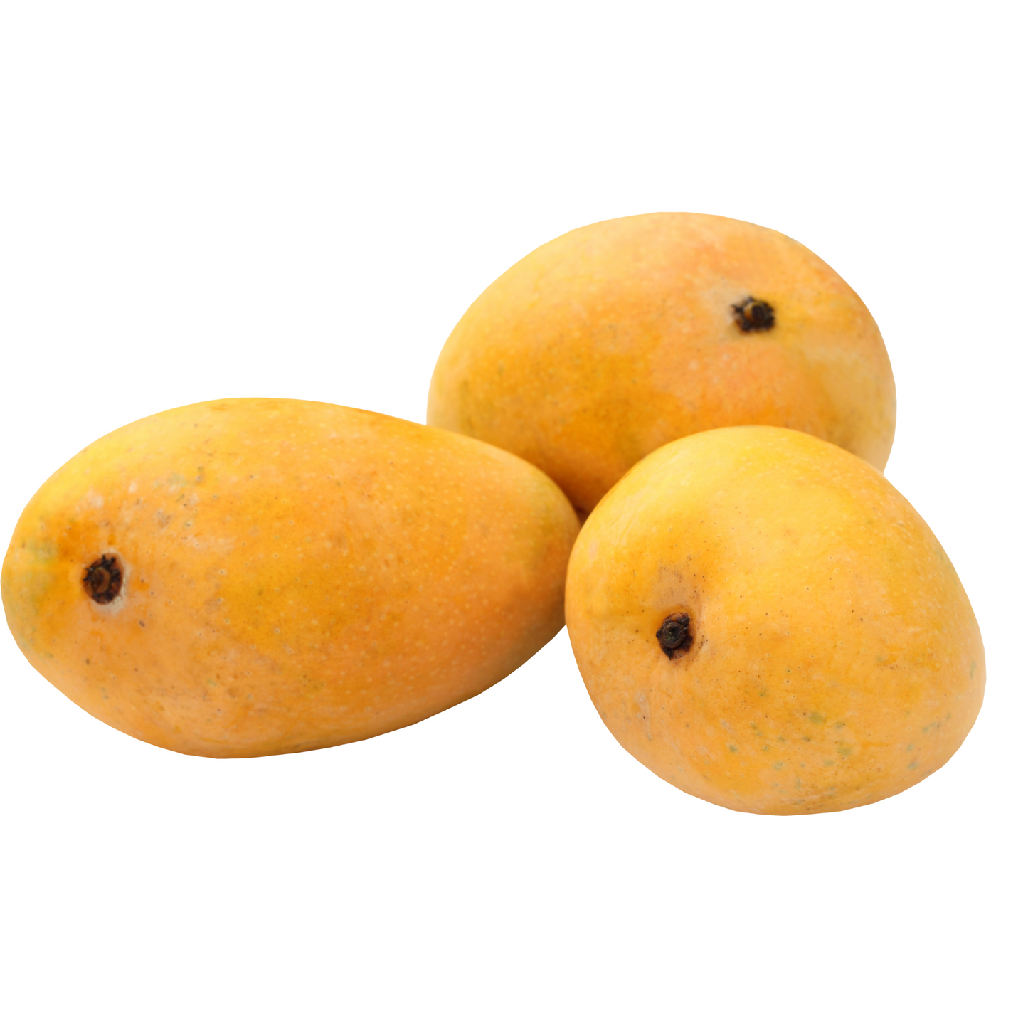 Sindhri Mango