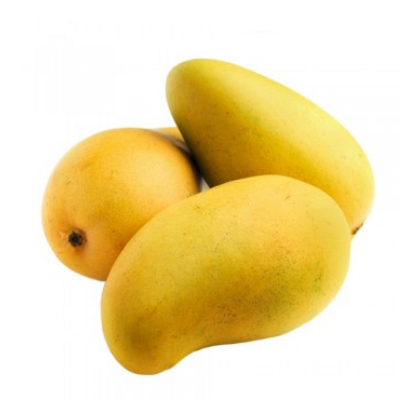 Chaunsa Mango | King of Mangoes