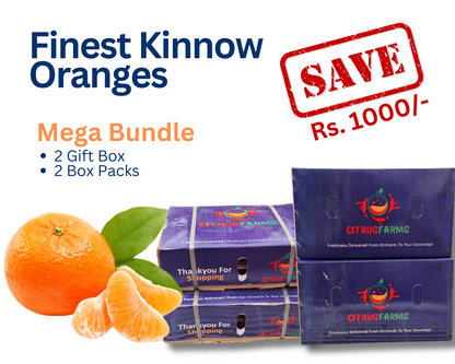 Finest Oranges | Kinnow