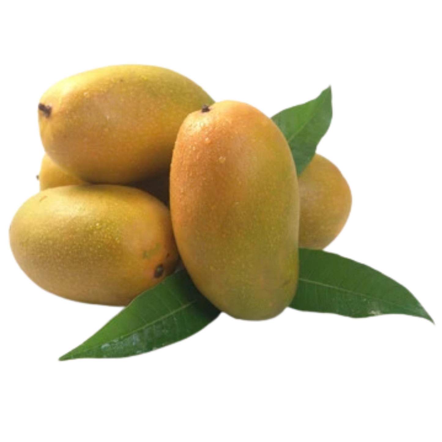 Dusehri Mango