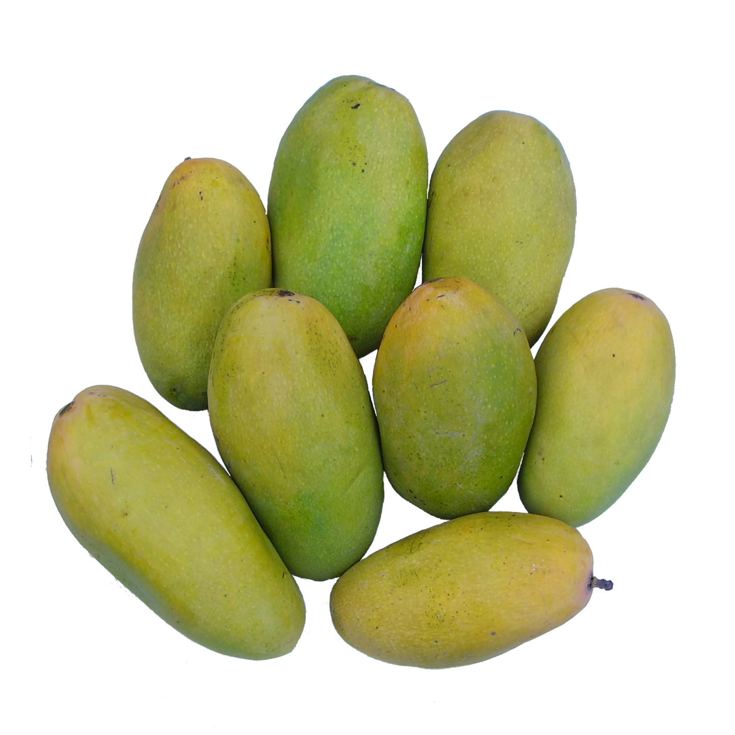 Dusehri Mango