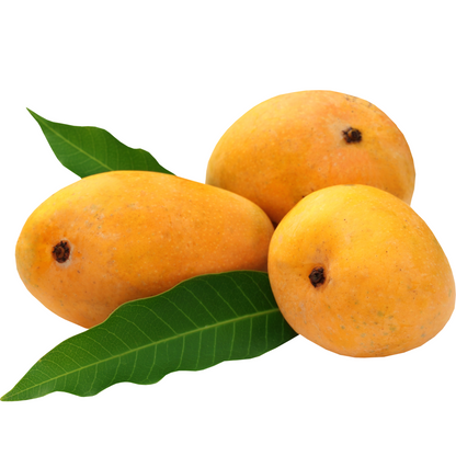 Chaunsa Mango | King of Mangoes